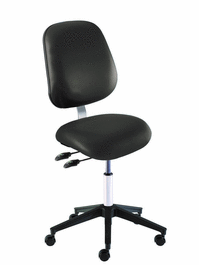 Ergonomic Chair