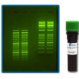 SmartGlow Loading Dye with Safe Green Stain, 1.0 mL (6x)