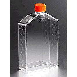 Angled Neck Cell Culture Flask, 225 cm2, TC-Treated, Vented Cap