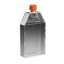 150 cm2 TC-treated Rectangular Canted Neck Cell Culture Flask with Phenolic style Cap