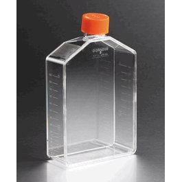 175 cm2 Angled Neck Not Treated Cell Culture Flask with Vent Cap