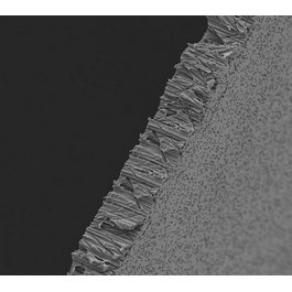 Poretics 25 mm Hydrophilic Polycarbonate Track Etched (PCTE) Membranes, 10.0 um