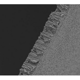 Poretics 293 mm Hydrophilic Polycarbonate Track Etched (PCTE) Membranes, 1.0 um