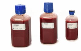 Blood, Sheep, Defibrinated, 250 mL Hemostat R, Screw Cap