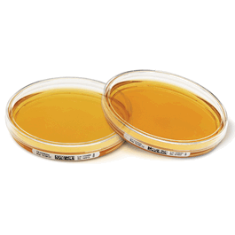 Sab. Dex. Agar w. LTHTh 03544e, 90 mm ICR settle plates with 30 mL, gamma irradiated, triple bagged, transparent inner H2O2-impermeable bag
