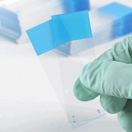 Microscope Slides, Diamond White Glass, 25 x 75mm, Charged, 90 degree Ground Edges, White Frosted, 72/Box