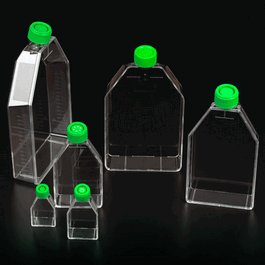 Celltreat 182 cm2 Tissue Culture Flask with Plug Seal Cap, 600 mL, Sterile