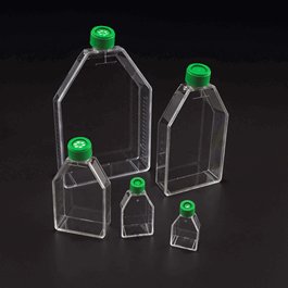 Celltreat 600 mL Non-Treated Suspension Culture Flasks with Vent Cap, Sterile
