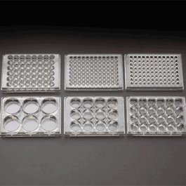 Celltreat 6 Well Non-Treated Plate with Lid, Flat Bottom, Individual, Sterile