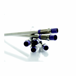 Accucore 150-C4, 2.6 um, 4.6 x 100 mm Analytical Column