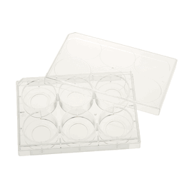 Celltreat 6 Well Tissue Culture Plate with Lid, 20 mm Glass Bottom, Individual, Sterile