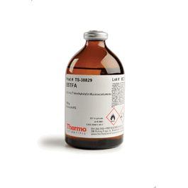 BSTFA + 1 Percent TMCS 10g Hypovial