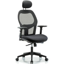 Executive Windrowe Mesh Back Chair with Head Rest, 3D Adjustable Arms, and Casters