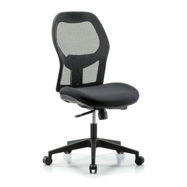 Executive Windrowe Mesh Back Chair with Casters