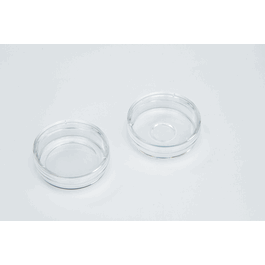 Nunc Glass Bottom Dish, 12 mm