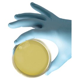 TSA (Tryptic Soy Agar), USP, 15 x 100 mm Petri Plate, 26 mL deep fill