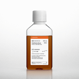 500 mL Fetal Bovine Serum, Regular