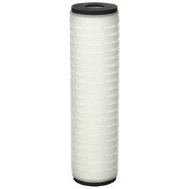 Thermo Scientific 0.20 um Pre-filter for 1/2 Size B-Pure Filter Holder (Cat. No. 339-41278)