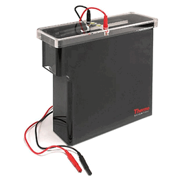 Owl Large Tank Electroblotting System