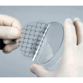 Diversified Biotech PetriStickers with 50-Square Grid, 3 in. (76 mm) diameter