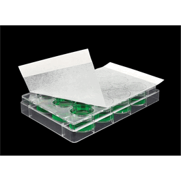 Diversified Biotech Breathe-Easier Rayon Film, Sterile