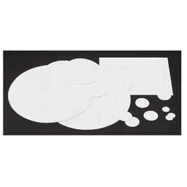 Foxx Life Sciences EZflow Membrane Disc Filter, 90 mm 1.0 um Glass Fiber, Non-Sterile
