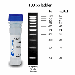Accuris SmartCheck 1kb DNA Ladder, 5 x 500ul / 500 lanes