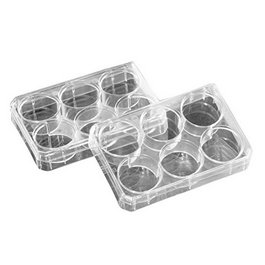Nunc 6-Well Poly-D-Lysine Coated Multidishes, 9.6 cm2, 3 mL Working Volume, 128 x 86 mm, Aseptically Sterile
