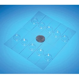 Plastic Well Slides, Pack of 10