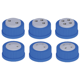 VapLock GL45 Solvent Delivery Cap with 304 SS Port Thread Inserts, 2 x 1/4-28