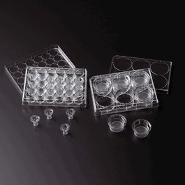 Celltreat Permeable Cell Culture Inserts, Packed in 6 Well Plate, Hanging, PET, 8.0um, Sterile