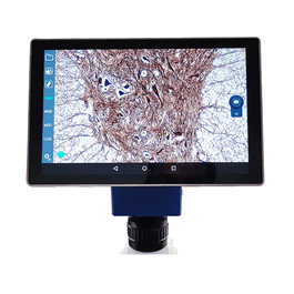 10.1 in. Tablet w/ Integrated 5.0 MP Camera, USB, mini USB y HDMI ports for Prime Microscopes