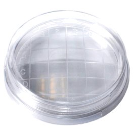 Bioplast Petri Dish, Slippable, 65 x 15 mm, with Convex Bottom