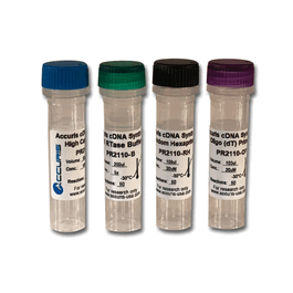 Accuris qMAX First Strand cDNA Synthesis Flex Kit, 50 reactions