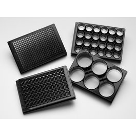 Corning 96 Well Black Clear Square Bottom Plasma Treated, Micro-Cavity Plate, 200um Wide and 100um Depth, Ind. Packaged, with Lid, 1/5