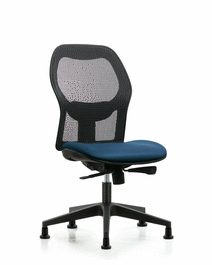 Executive Windrowe Mesh Back Chair with Borscht Supernova Seat and Stationary Glides