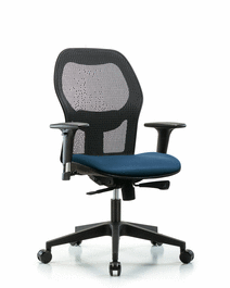 Executive Windrowe Mesh Back Chair with Standard Adjustable Arms, Marine Blue Supernova Seat, and Casters