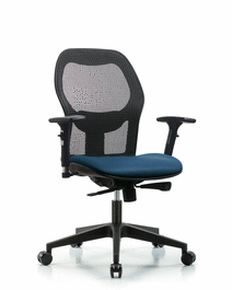 Executive Windrowe Mesh Back Chair with 3D Adjustable Arms, Borscht Supernova Seat, and Casters