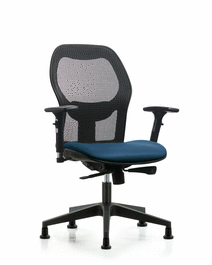 Executive Windrowe Mesh Back Chair with 3D Adjustable Arms, Borscht Supernova Seat, and Stationary Glides
