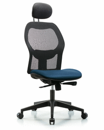 Executive Windrowe Mesh Back Chair with Storm Supernova Seat, Head Rest, and Casters