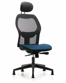 Executive Windrowe Mesh Back Chair with Taupe Supernova Seat, Head Rest, and Stationary Glides