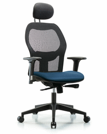 Executive Windrowe Mesh Back Chair with Taupe Supernova Seat, Head Rest, Standard Adjustable Arms, and Casters
