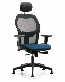 Executive Windrowe Mesh Back Chair with Taupe Supernova Seat, Head Rest, Standard Adjustable Arms, and Stationary Glides
