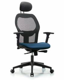 Executive Windrowe Mesh Back Chair with Storm Supernova Seat, Head Rest, 3D Adjustable Arms, and Casters