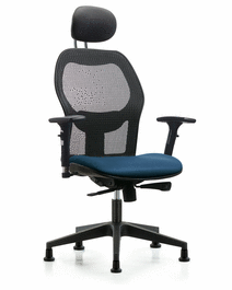 Executive Windrowe Mesh Back Chair with Storm Supernova Seat, Head Rest, 3D Adjustable Arms, and Stationary Glides