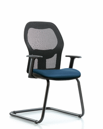 Executive Windrowe Mesh Back Guest Chair with Sterling Supernova Seat and Arms