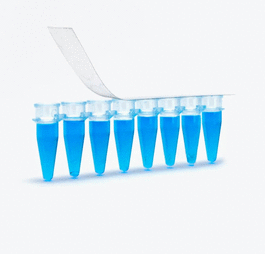 EZcap PCR FilmStrips, 8 Strips per Sheet, 1 x 8 Rows per Strip