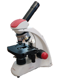 Velab LAB050 Monocular Microscope (Intermediate)