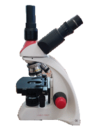 Velab LABO100T Biological Achromatic Trinocular Microscope