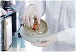 ClickSeal bio-containment lid